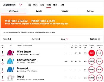 totesport review|Tote Review 2024 .